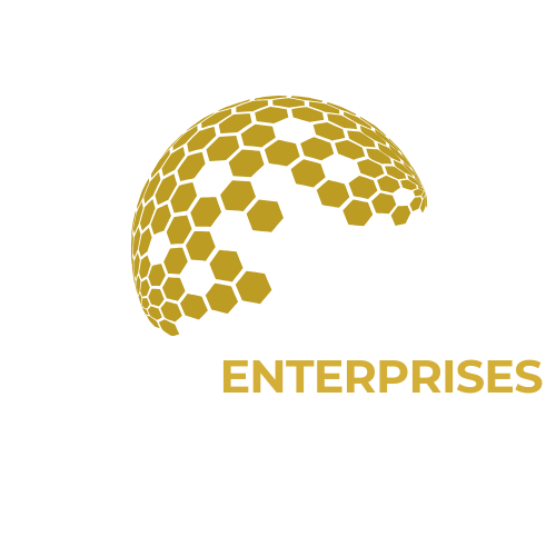 Saleem Enterprises logo – Export, Software, and BPO services company-transparent